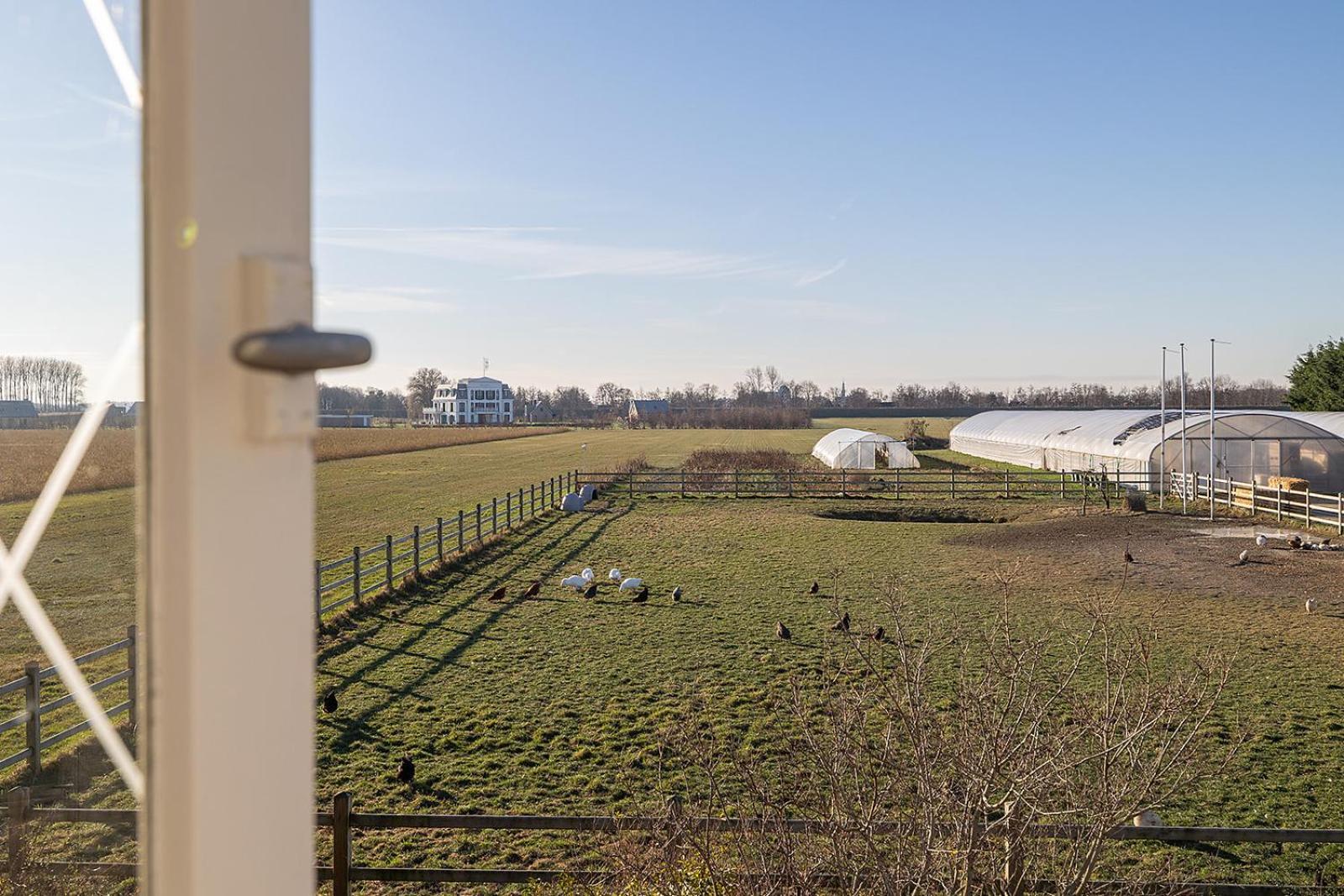 Vakantiehuis Rust in de onruste Kamperland Buitenkant foto