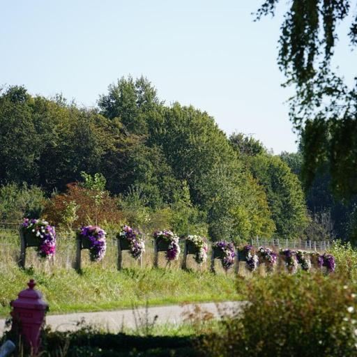 Vakantiehuis Rust in de onruste Kamperland Buitenkant foto